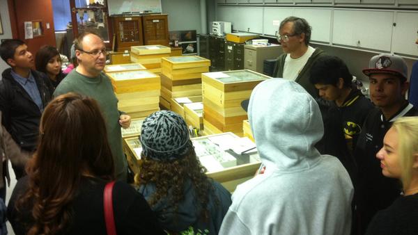 students looking at insect collections (c) UCR/CNAS