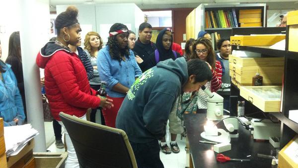 Students looking at insect collections (c) UCR/CNAS