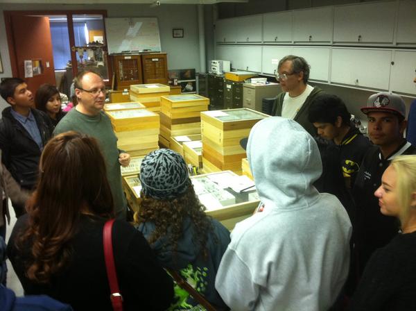 students looking at insect collections (c) UCR/CNAS