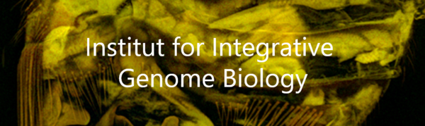 Institut for Integrative  Genome Biology