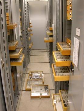 specimen drawers (c) CIBC