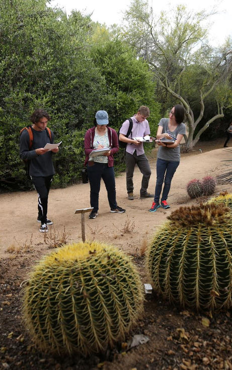 UCR- Stan Lim- Students Studying Cactus