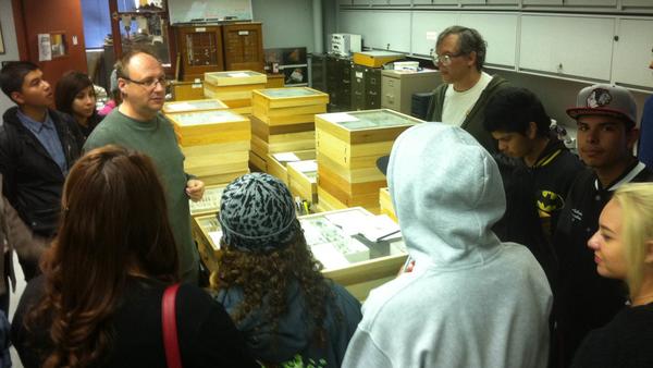 students looking at insect collections (c) UCR/CNAS students looking at insect collections (c) UCR/CNAS